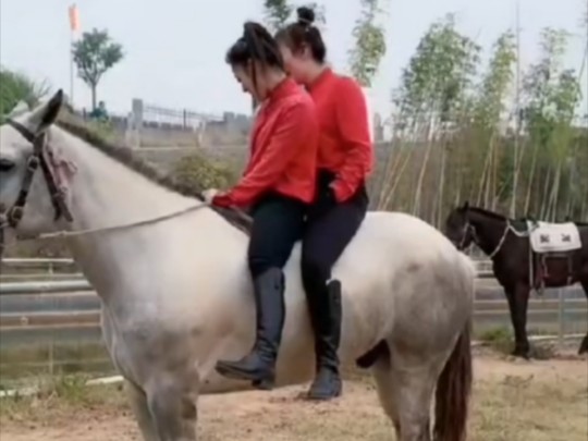 两红寸衫马裤马靴丰满美女直播骣骑大马