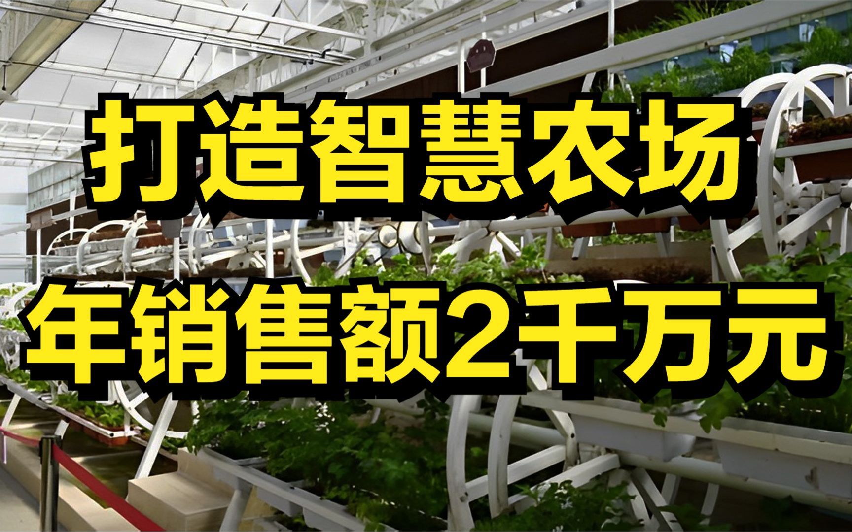 男子运用科技的力量,打造一个智慧农场,年销售额达2000万元!哔哩哔哩bilibili