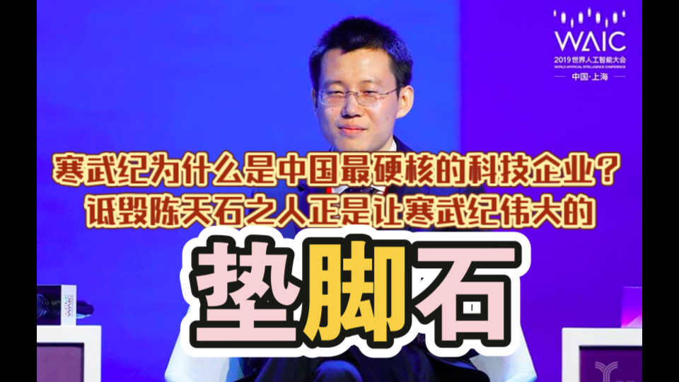 寒武纪为什么是中国最强科技企业?预测陈天石为何会成为中国首富哔哩哔哩bilibili