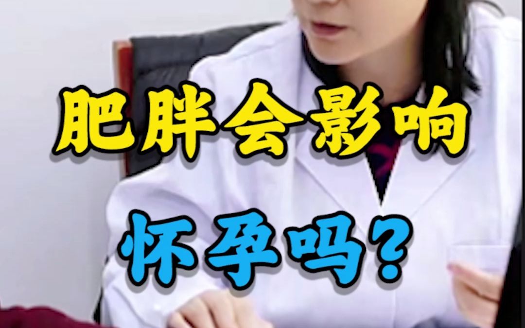 肥胖会影响怀孕吗?哔哩哔哩bilibili