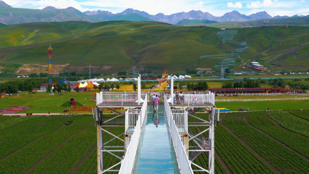 我在伊犁花海那拉提等你