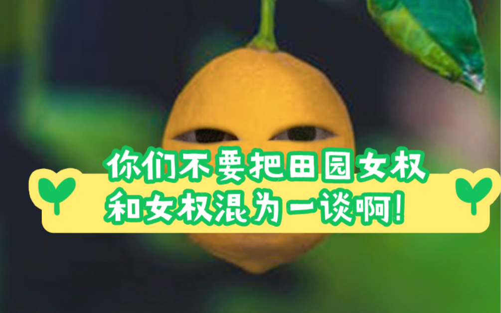 女权是田园女权吗?男性是女权的敌人吗?男权和女权其实一样?