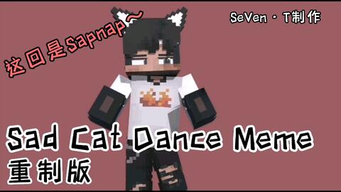 skeppyhalo/mcyt】bad的sad cat dance - BiliBili