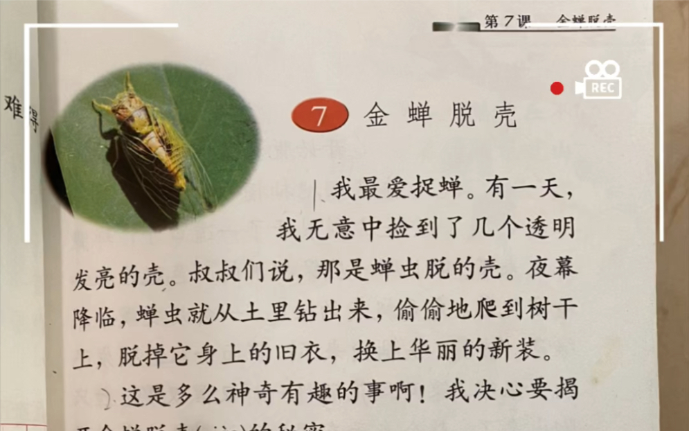 还记得曾经背过的《金蝉脱壳》和《安塞腰鼓》吗?