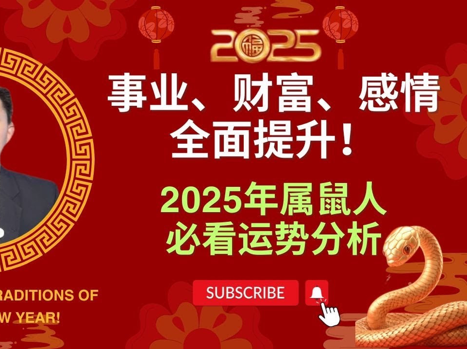 2025年属鼠人必看运势分析!事业、财富、感情全面提升!哔哩哔哩bilibili