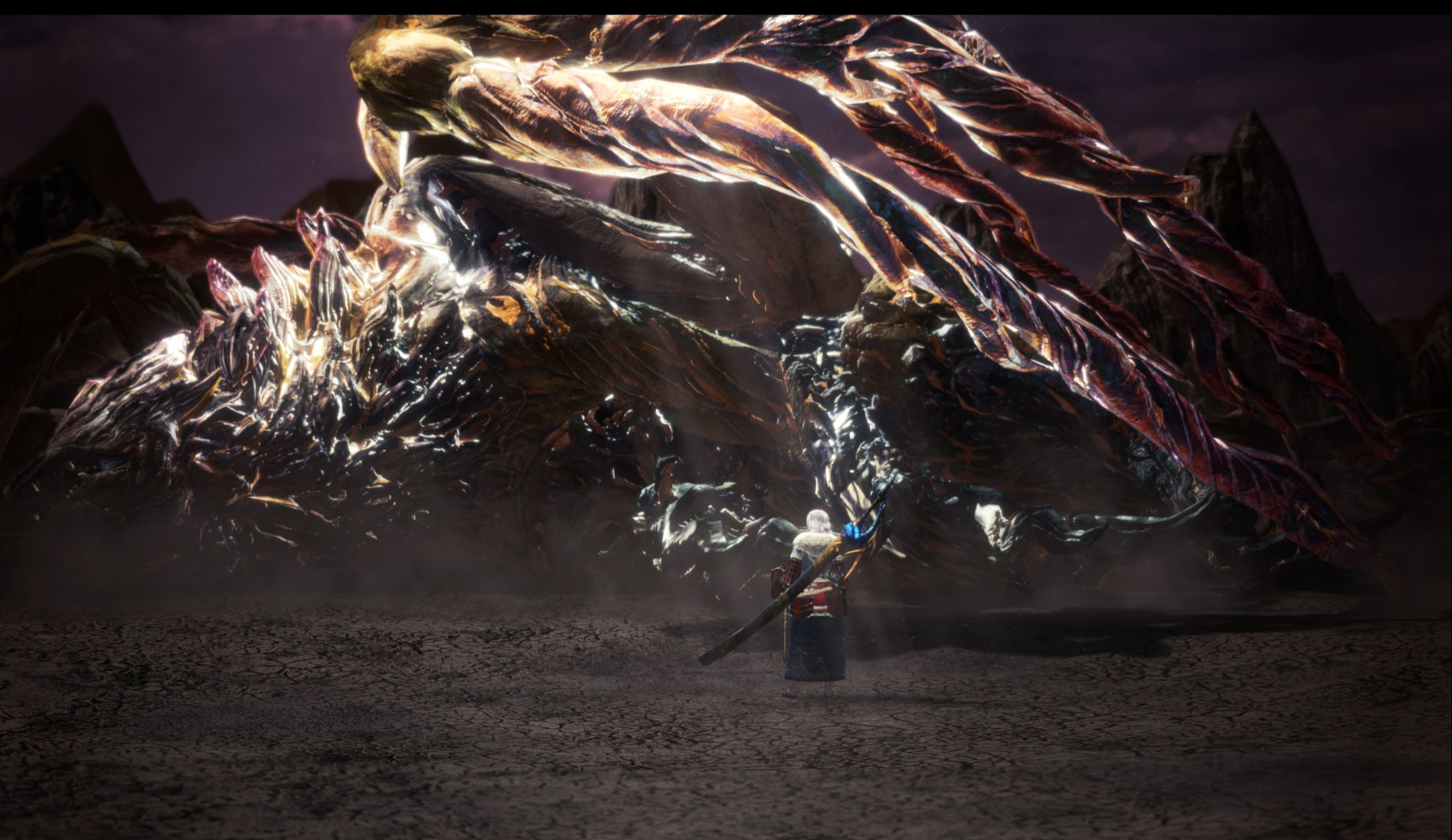 怪猎世界冰原记录