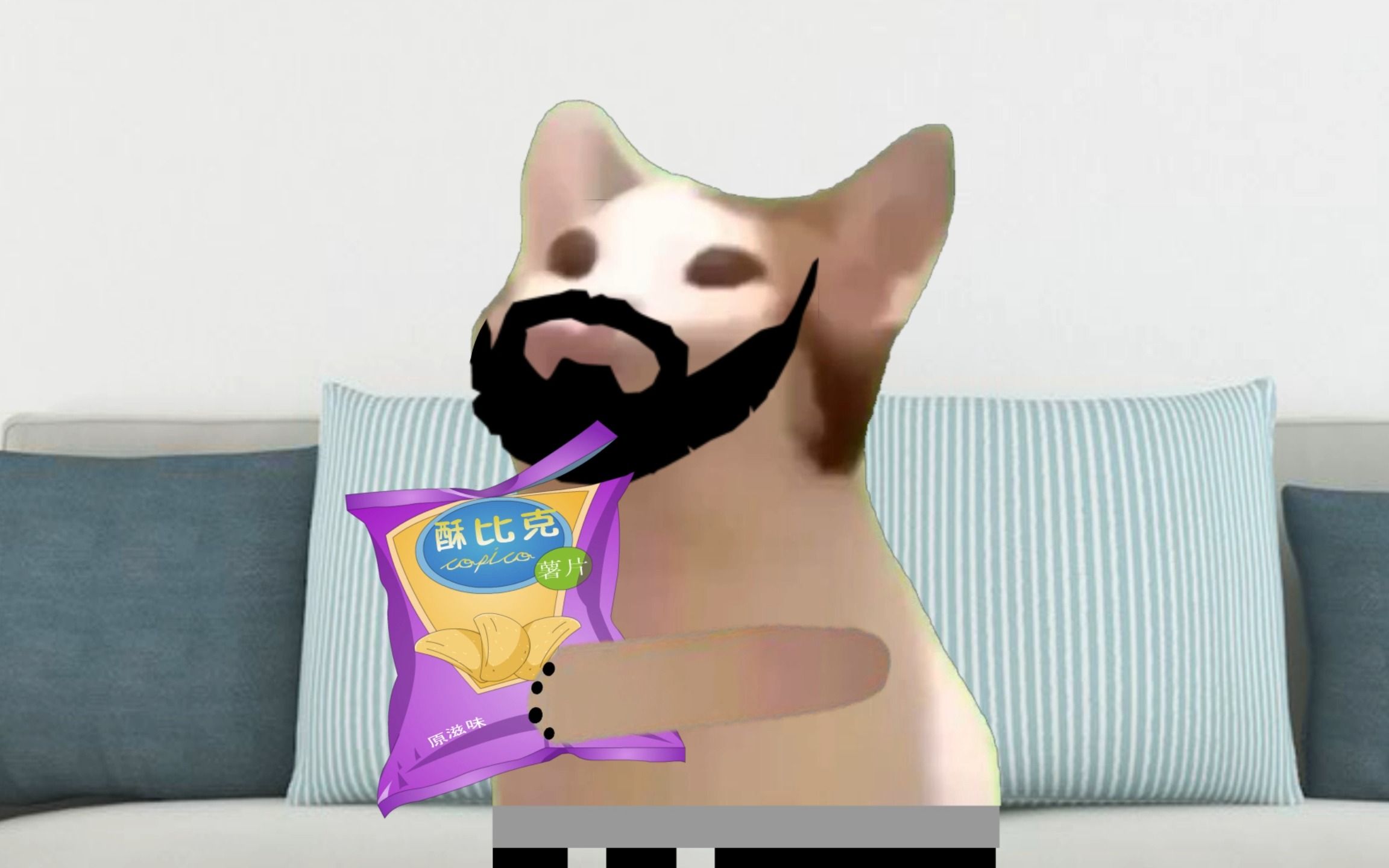  cheems cheems 