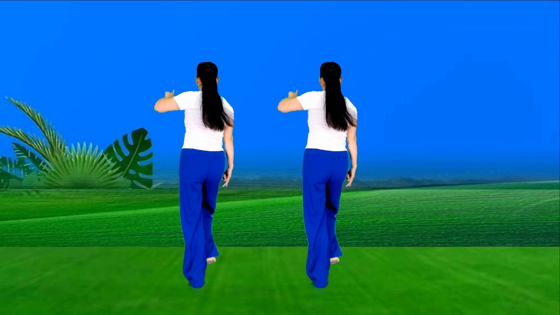 64步广场舞《曾经心疼》背面演跳