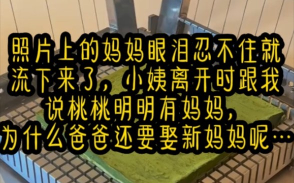 名《桃桃艳秀》照片上的妈妈眼泪忍不住就流下来了,小姨离开时跟我说桃桃明明有妈妈,为什么爸爸还要娶新妈妈呢…哔哩哔哩bilibili