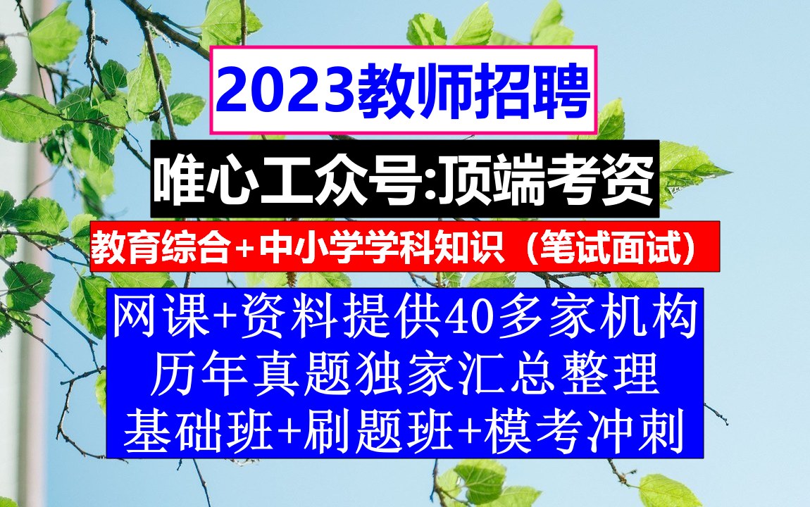 教师招聘,教师招聘报名表填写模板,教师招聘网最新招聘信息哔哩哔哩bilibili