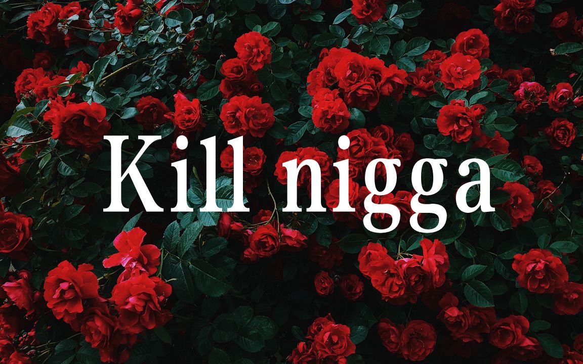 [图]Kill nigga