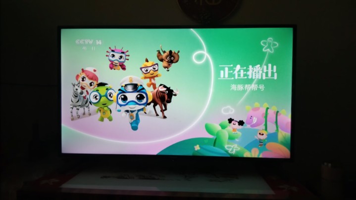 【放送文化/补充】cctv14 不完整广告 鲜花id 正在播出 20240305