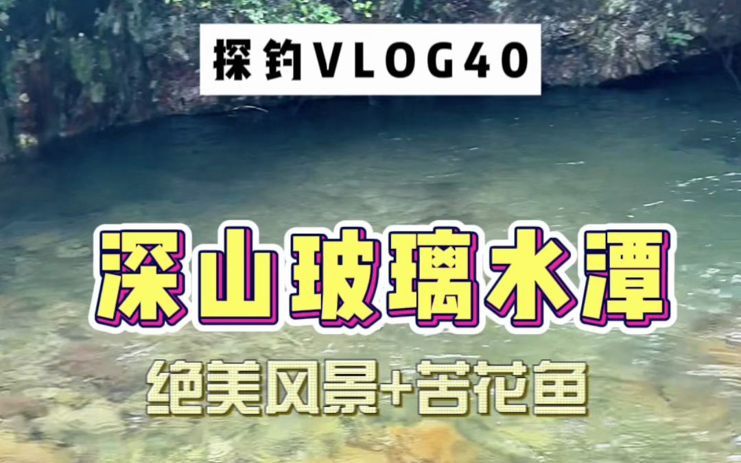 藏在缙云深山中的一处玻璃水潭!这里也太好看了吧!是你时常羡慕的外省资源吗?!哔哩哔哩bilibili