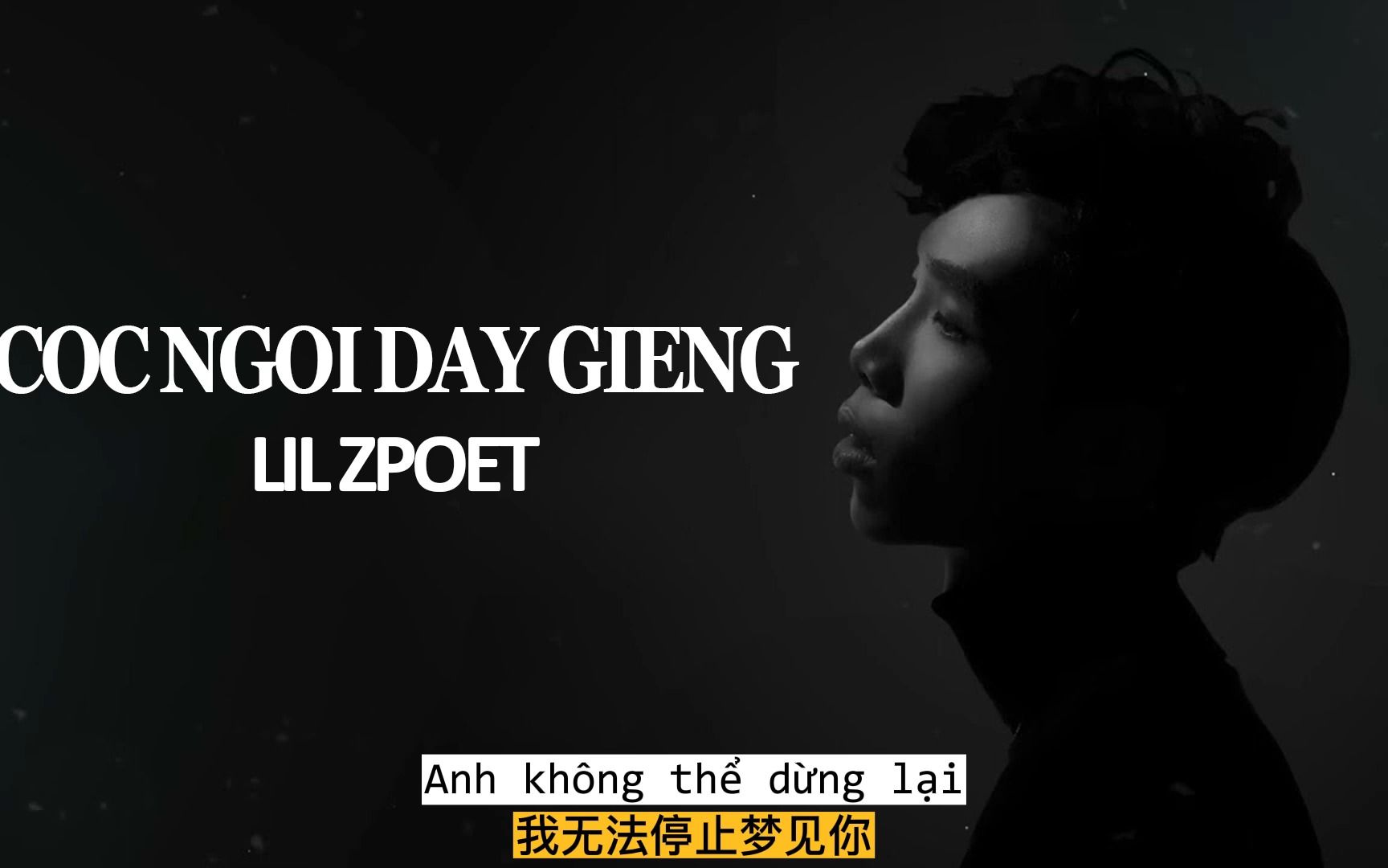 [图]【中文字幕/越南歌曲 】LIL ZPOET-CÓC NGỒI ĐÁY GIẾNG