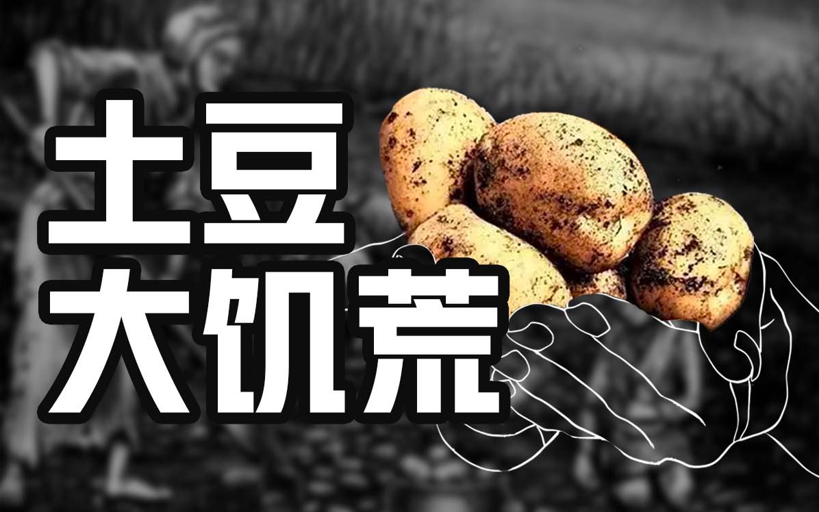 [图]【食录】高产的土豆，是怎么饿死数百万人的？