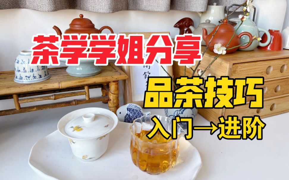 4分钟搞懂品茶 | 建立感官品茶体系 | 三维对比法 | 揭开喝茶神秘面纱哔哩哔哩bilibili