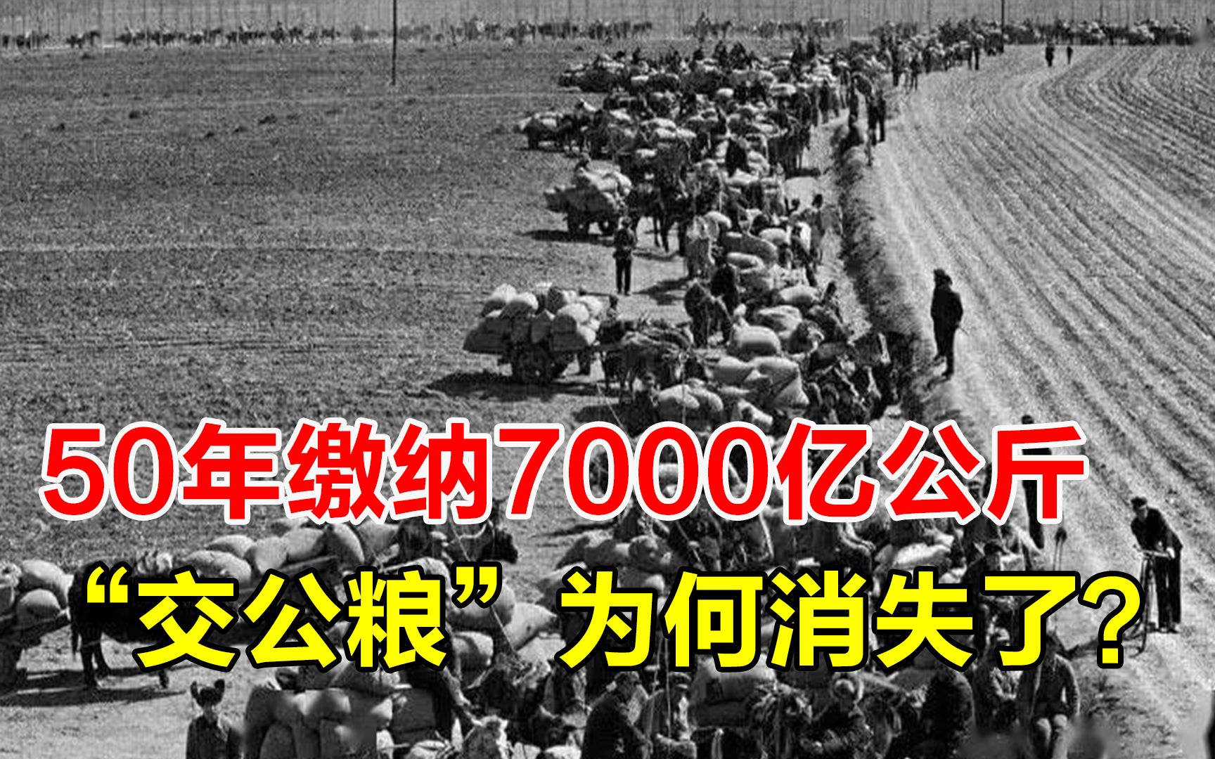 延续了2600年的税制,50年缴纳7000亿公斤,为何现在却取消了?哔哩哔哩bilibili