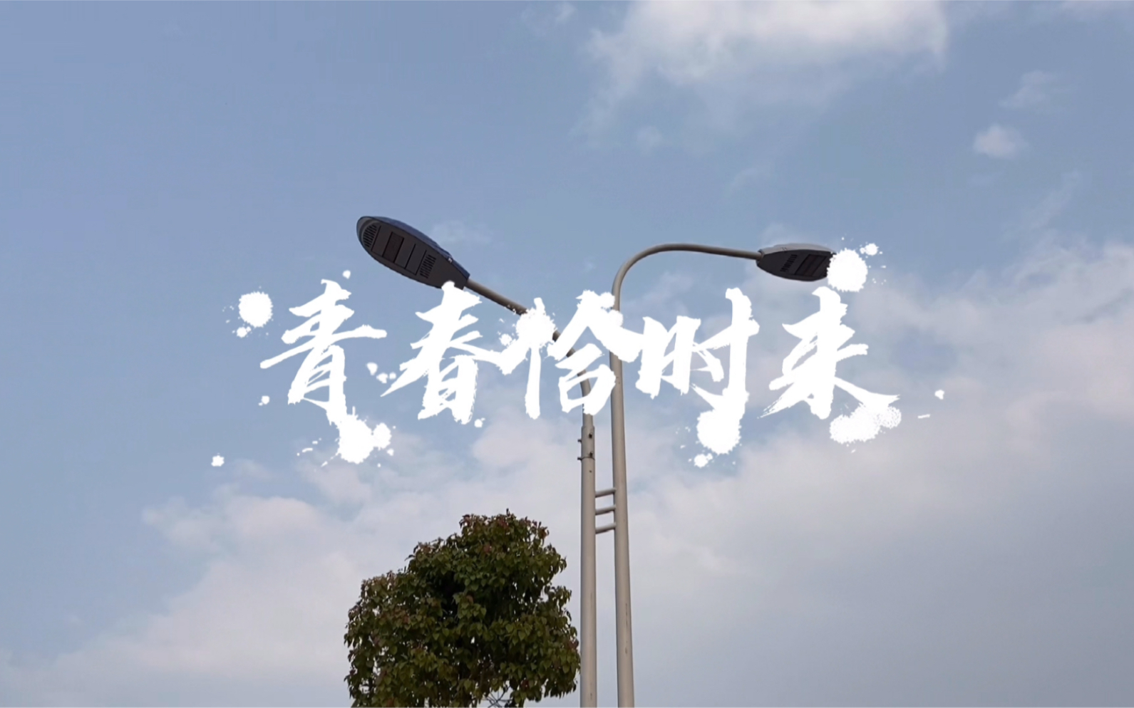 【我们这一班】电商201班的班歌《青春恰时来》,用青春创造锦绣新时代