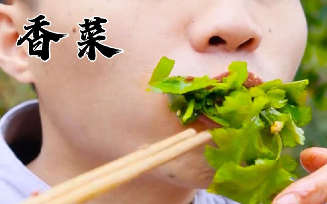 你们是怎么吃香菜的?
