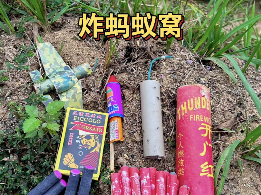 鞭炮炸蚂蚁窝图片