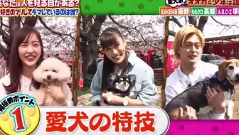 6 14 嘟叭 哔哩哔哩 Bilibili