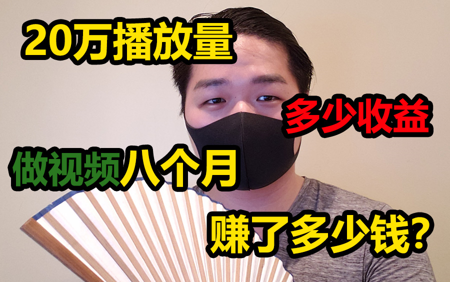 一个视频20万点击量让我赚了多少钱?做UP主八个月我赚了这么多哔哩哔哩bilibili