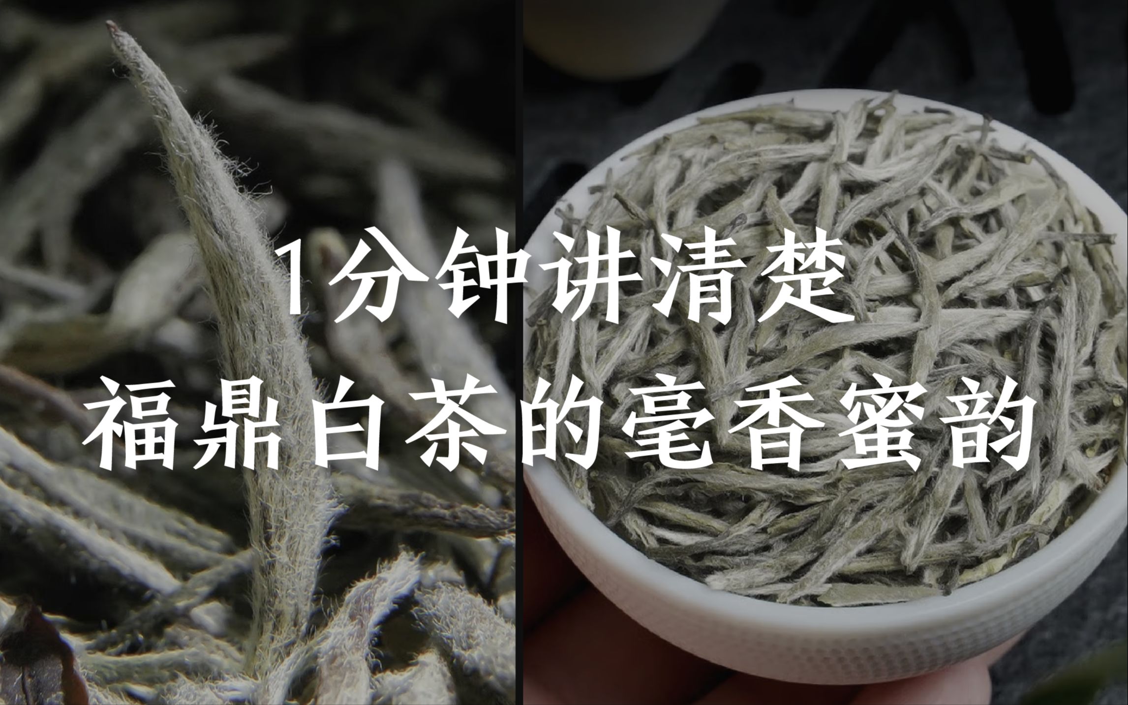 白茶的毫香蜜韵怎么形成的?又要怎么品?1分钟为你解释清楚哔哩哔哩bilibili