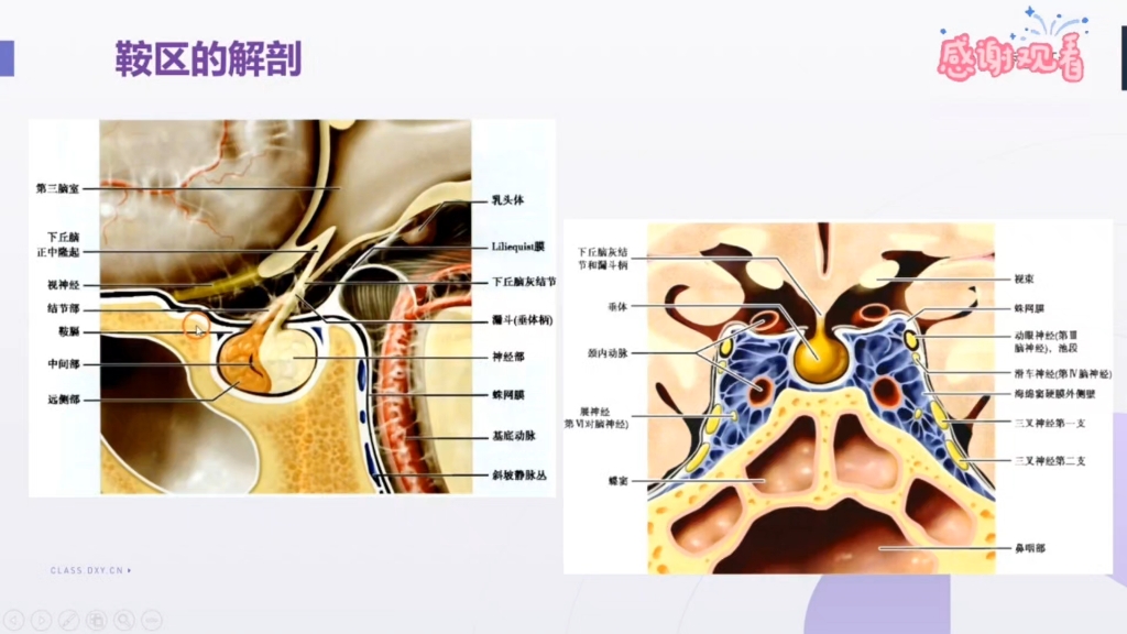 鞍区麻木图片