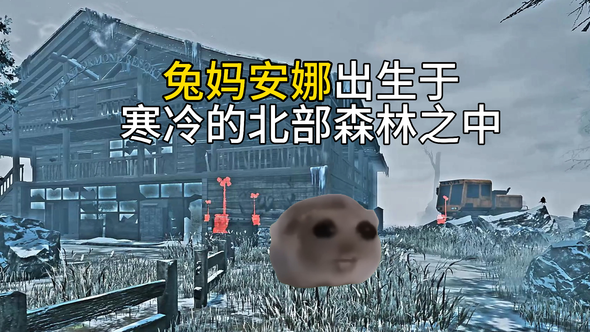 【meme猫】兔妈背景故事网络游戏热门视频