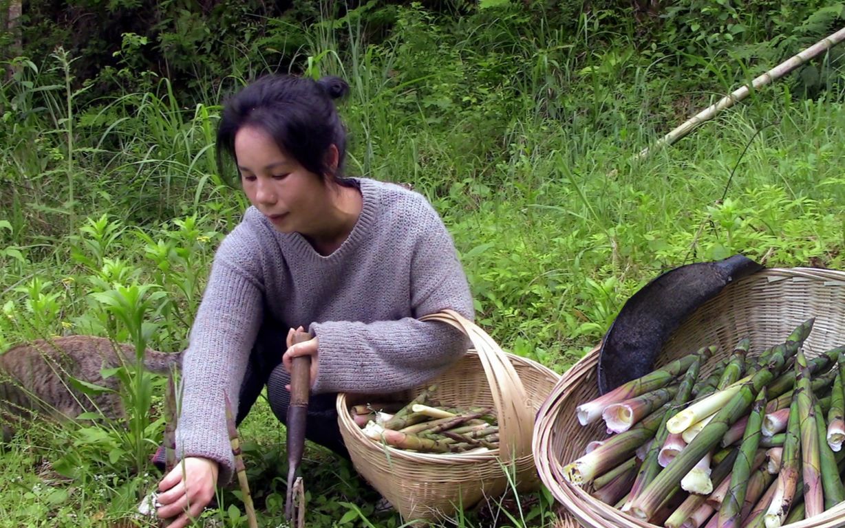 野居湖南大山真好,野山笋遍地是,拔到手软,拔笋的声音太治愈了哔哩哔哩bilibili