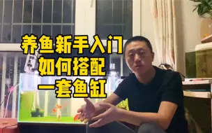 Download Video: 养鱼新手入门如何搭配一套鱼缸，既好看又实用，这个视频让你少走弯路