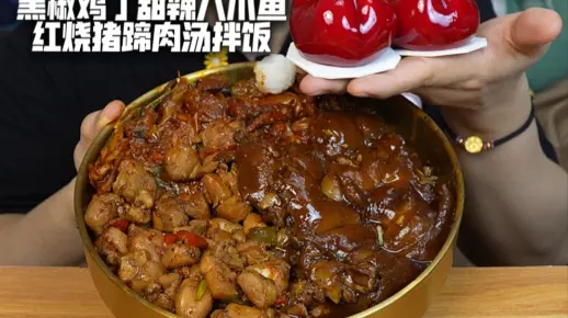 黑椒鸡丁甜辣八爪鱼红烧猪蹄肉汤拌饭