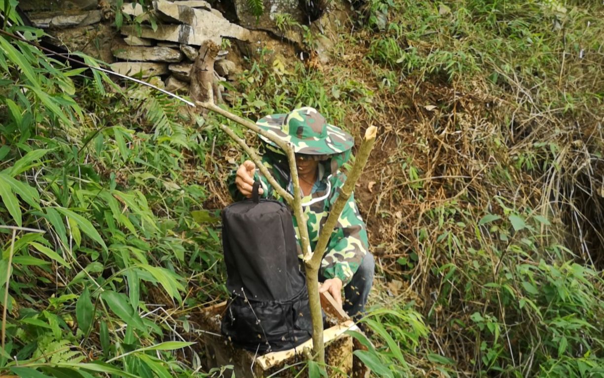 放这些位置村夫三天就能收蜂_哔哩哔哩 (゜-゜)つロ 干杯~-bilibili