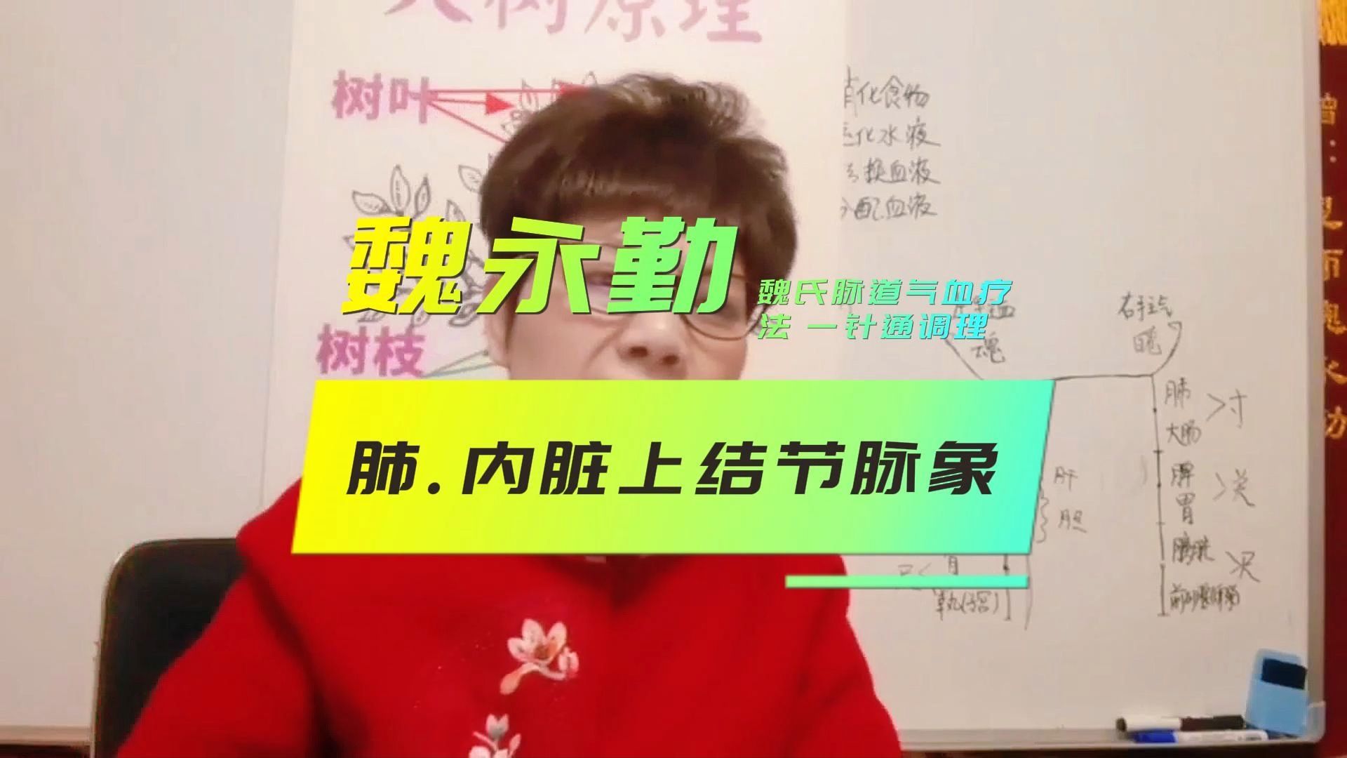 魏永勤魏氏脉道气血疗法调理一针通补气血 肺、内脏上结节脉象哔哩哔哩bilibili
