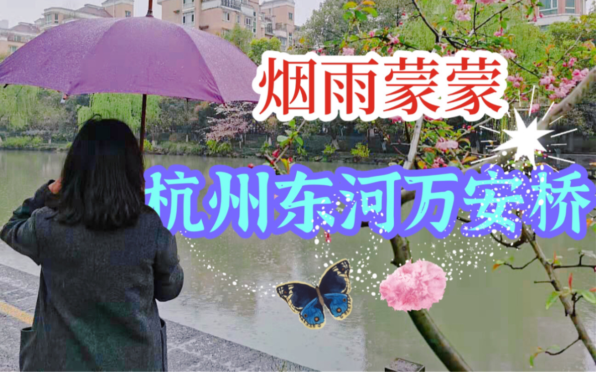 烟花三月下江南,实拍杭州唯美东河,雨中游东河哔哩哔哩bilibili