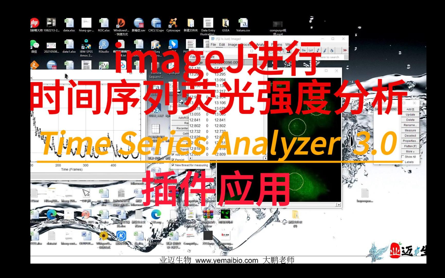 imageJ时间序列插件分析钙离子震荡荧光哔哩哔哩bilibili