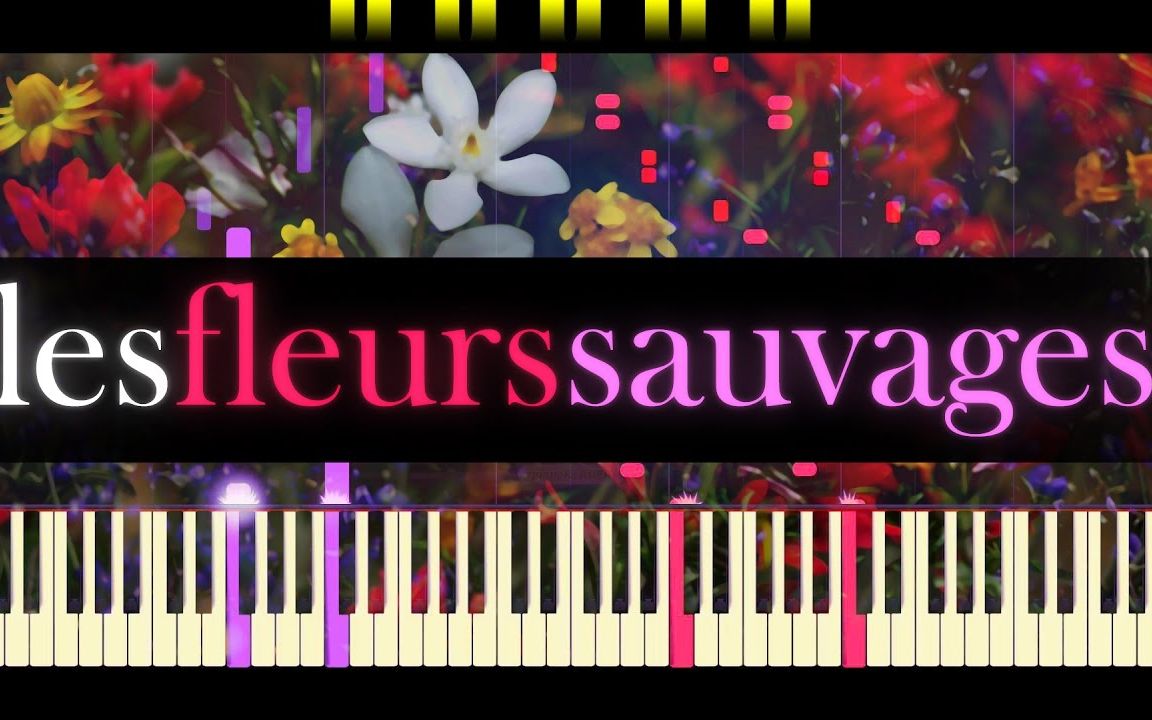 [图]理查德·克莱德曼 - 野花(Les Fleurs Sauvages)