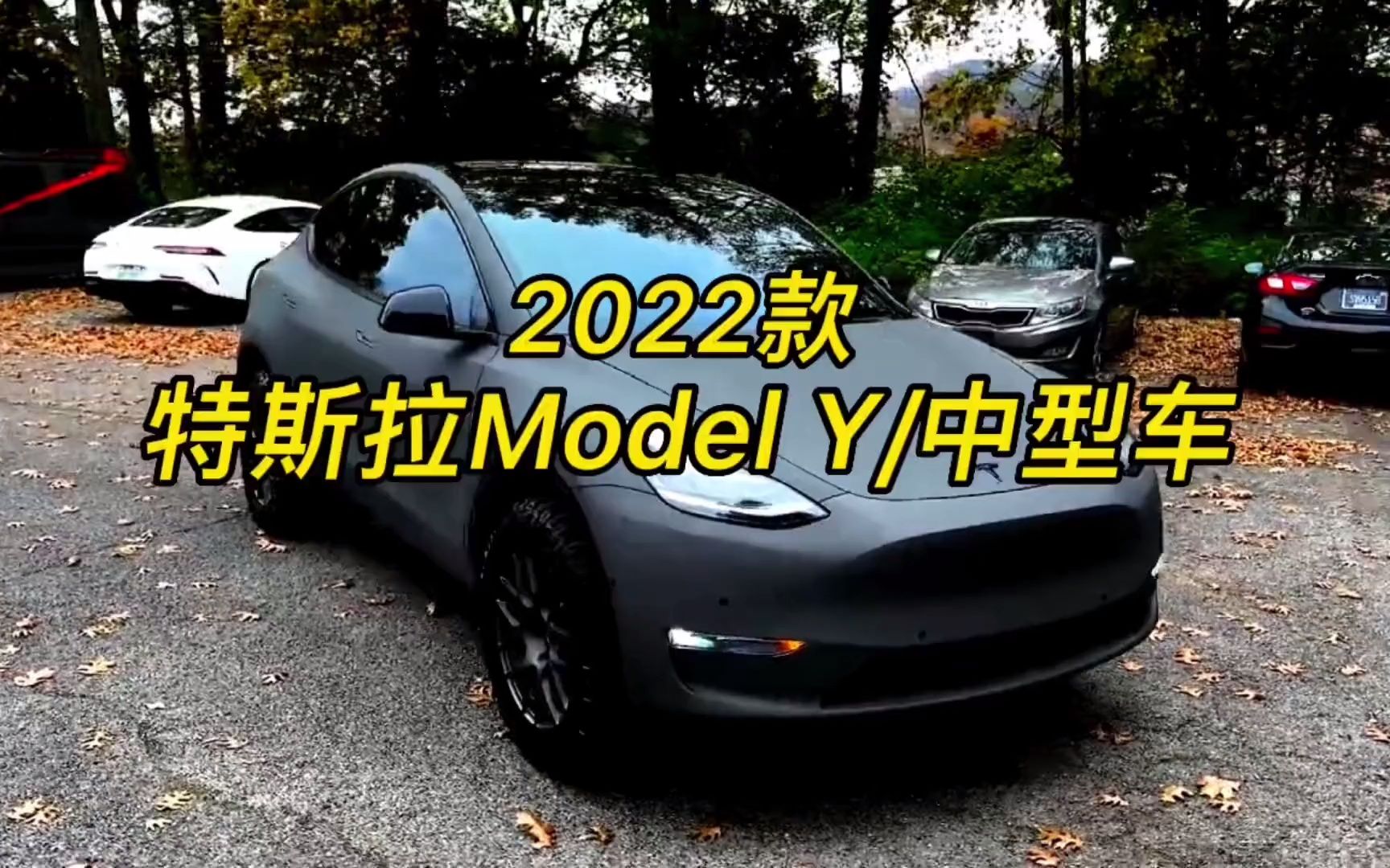 2022款 特斯拉 Model Y最新落地价及用车成本参考哔哩哔哩bilibili