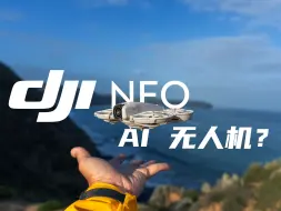 Download Video: 这是一台不需要遥控器的无人机！只要1299?大疆NEO 上手体验!