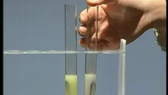 78 铁跟酸的反应