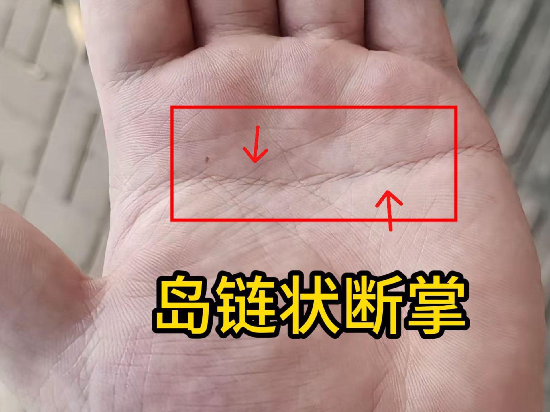 识人有术,岛链状断掌