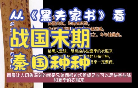 从睡虎地秦简《黑夫家书》看战国末期秦国货币的购买力哔哩哔哩bilibili