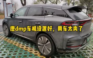 Download Video: 唐dmp用车设置教程，一个视频讲全，这样设置好开起来太爽了