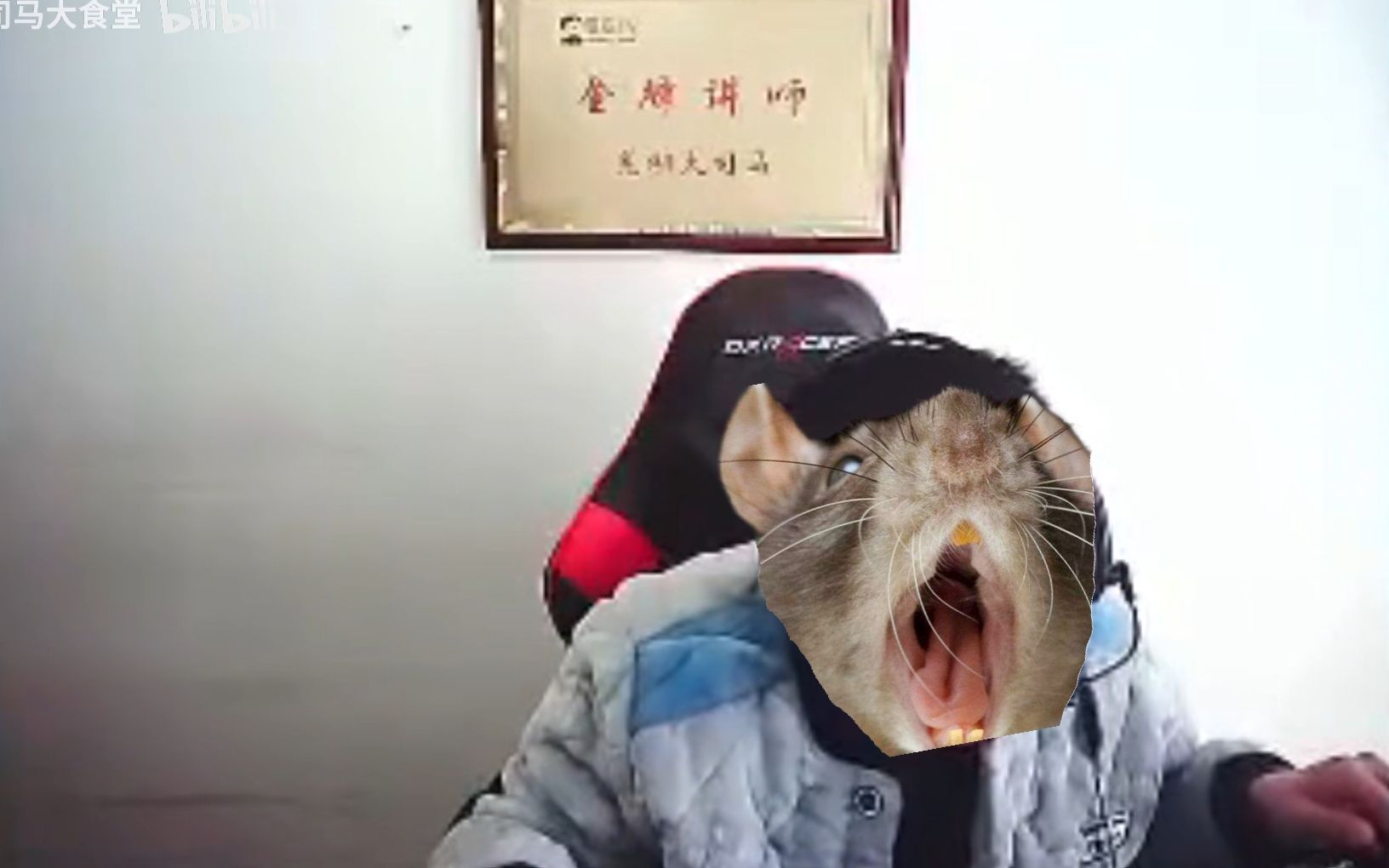 大司马鼠疫上身连续发病一小时