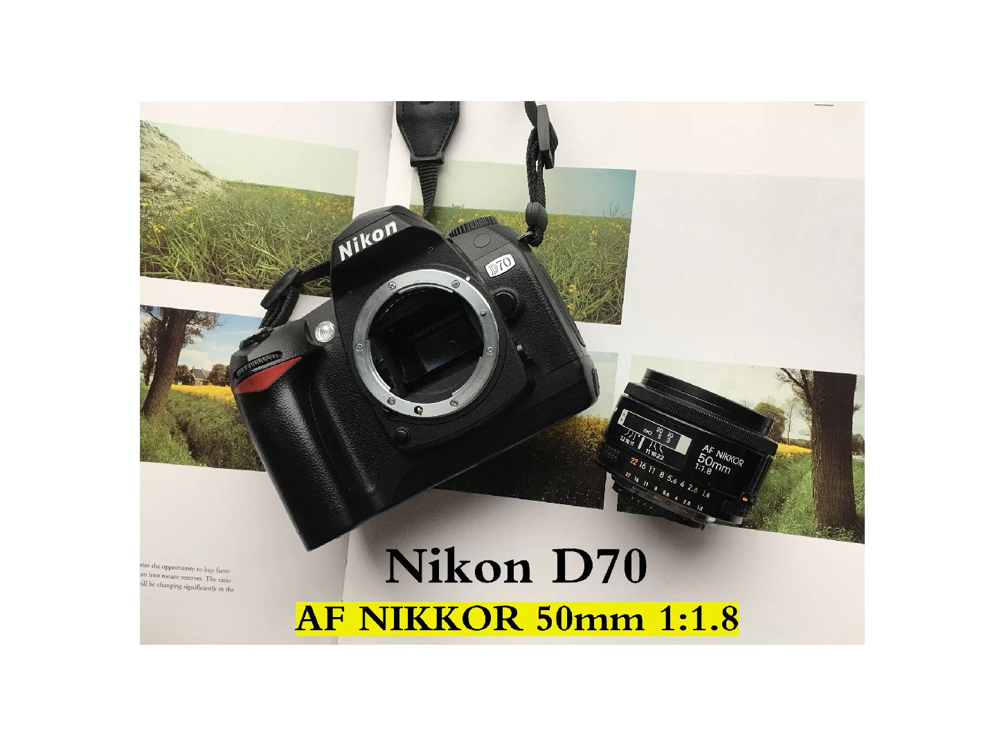 Nikon | 冬天花会开|尼康D70| 尼康标头50|尼康CCD|哔哩哔哩bilibili