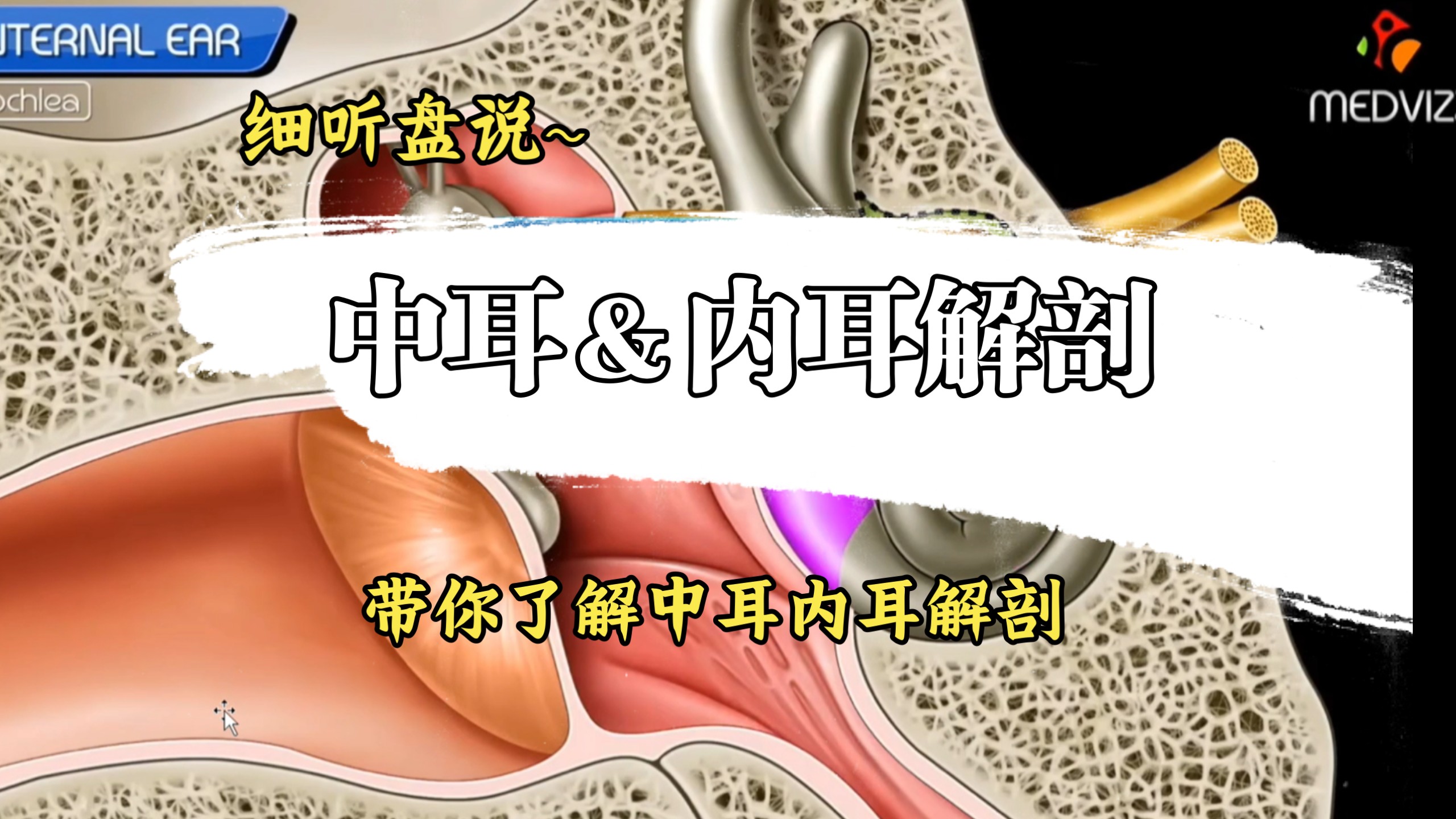 中耳＆内耳解剖: 学好影像，解剖先行。