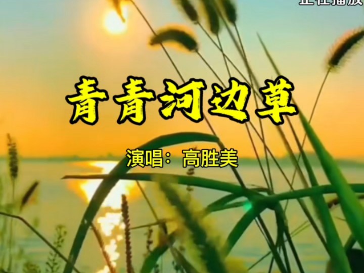 青青河边草中文字幕MV=精华区二区区别88888金三角