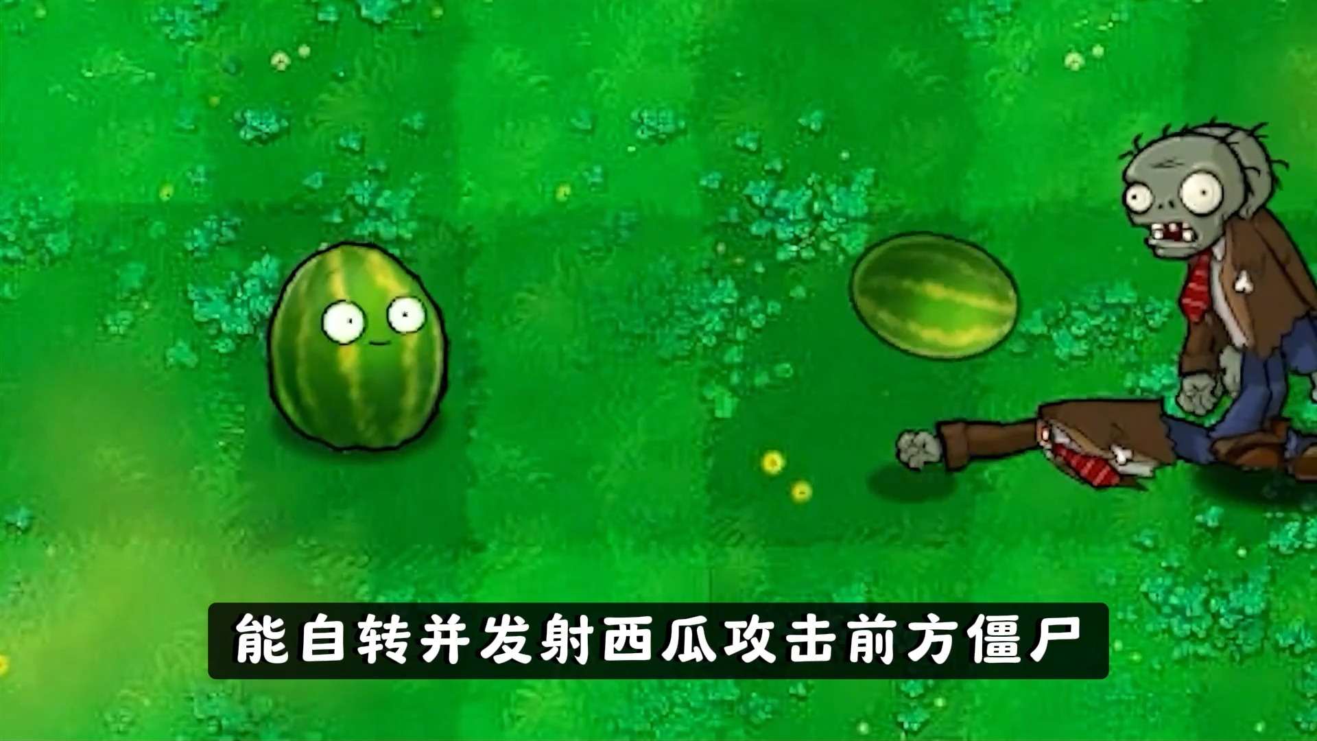 57 植物大战僵尸:盘点十三种杂交坚果,你了解多少?