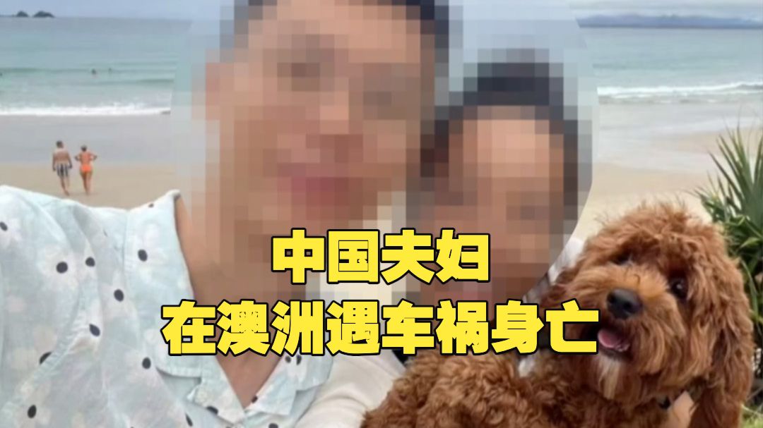 30多岁中国夫妇澳洲车祸身亡 两人刚拿到绿卡、刚盖完新房，8天前过完五周年结婚纪念日！出事路段近10年发生事故174起 夺走16条人命
