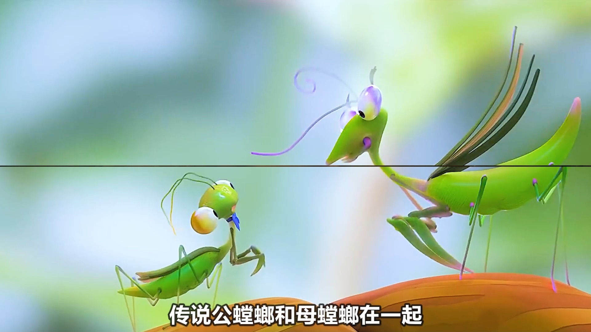 为什么母螳螂要吃公螳螂 为什么母螳螂要吃公螳螂